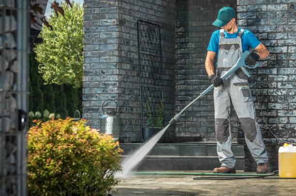 Best Dumpster Area Cleaning  in Sackets Harbor, NY